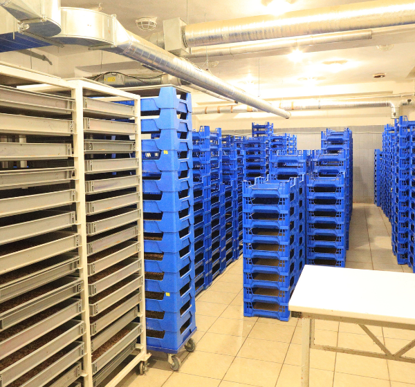 Slovenská farma Hmyzomlsky